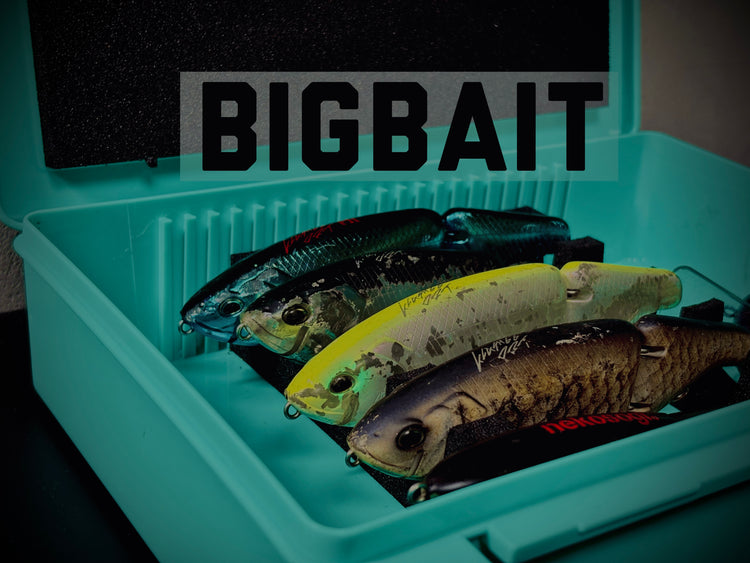 BIG BAITS ＆ SWIM BAITS