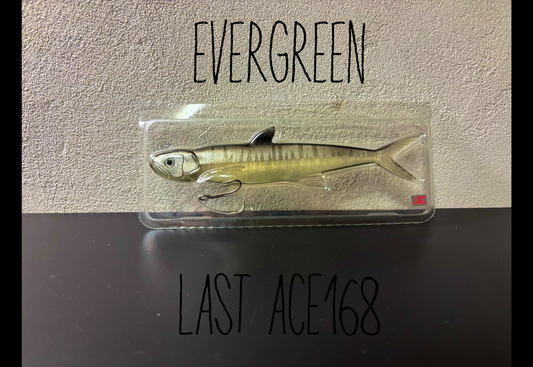 EVERGREEN LAST ACE168【USED S 】