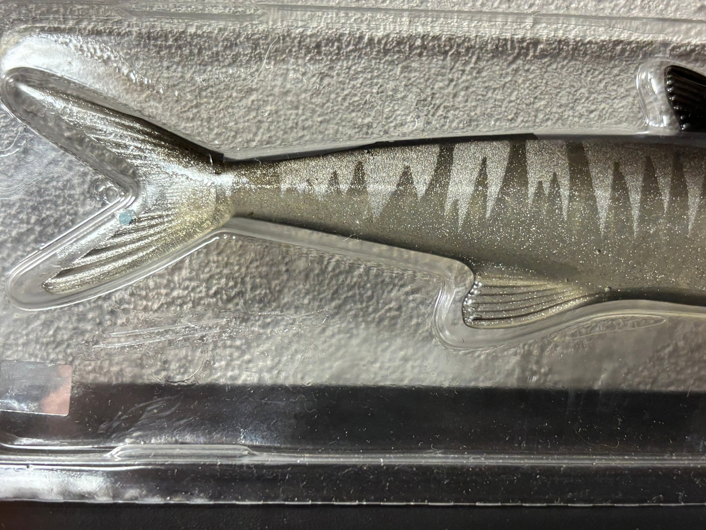 EVERGREEN LAST ACE168【USED S 】