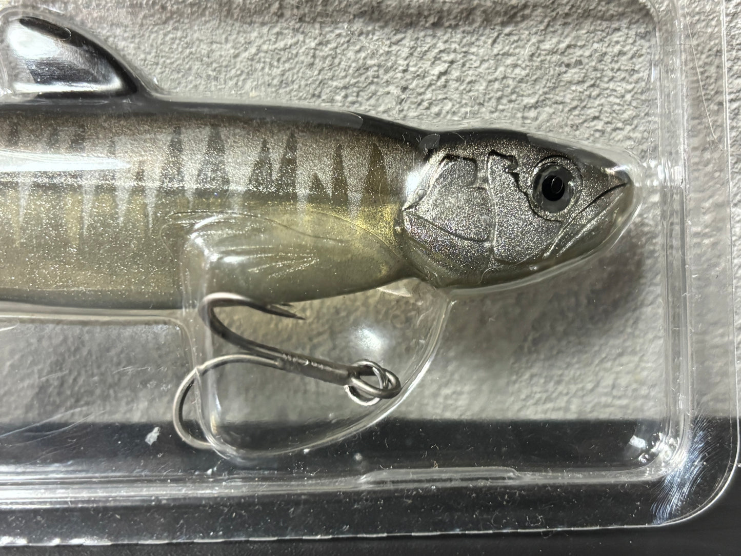 EVERGREEN LAST ACE168【USED S 】