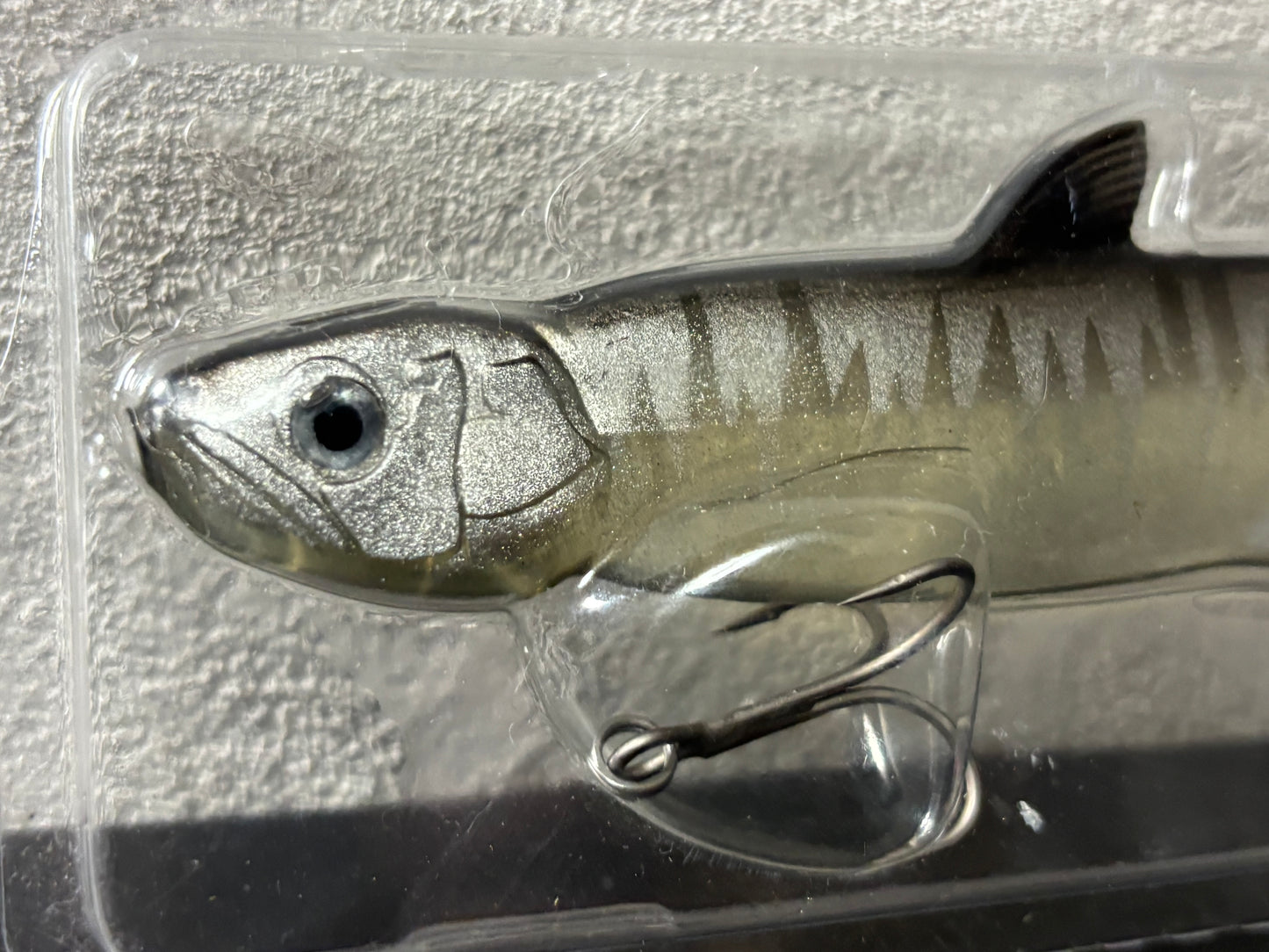 EVERGREEN LAST ACE168【USED S 】