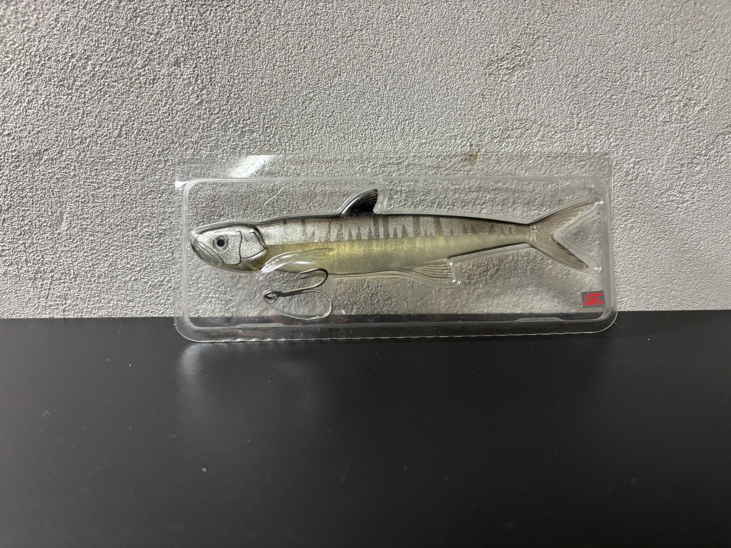 EVERGREEN LAST ACE168【USED S 】