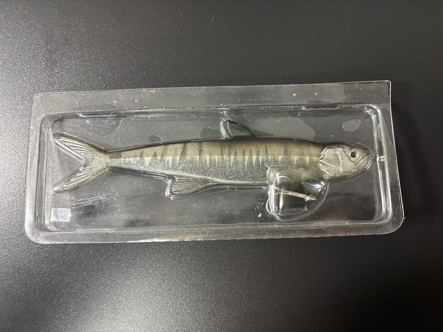 EVERGREEN LAST ACE168【USED S 】