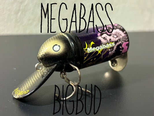 MEGABASS×HEDDON BIGBUD【USED】BL10051